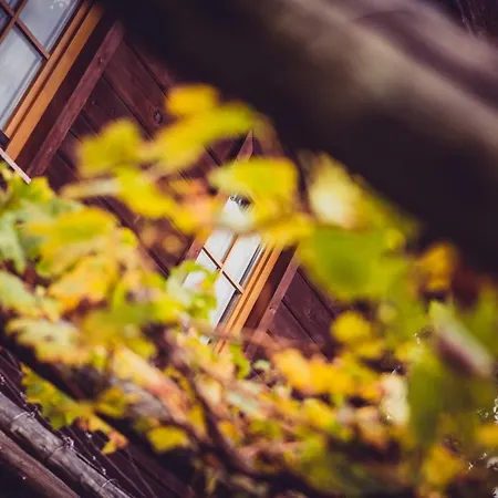 シャレー Relax Your Soul In Paradise Makole